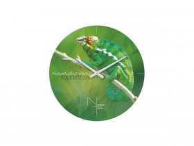 Часы настенные Nicole Time NT503 в Нижнекаменке - nizhnekamenka.mebel-nsk.ru | фото