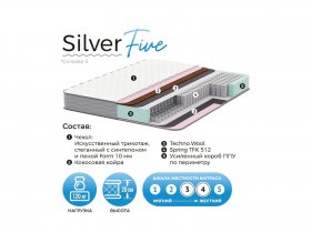 Матрас Silver Five в Нижнекаменке - nizhnekamenka.mebel-nsk.ru | фото